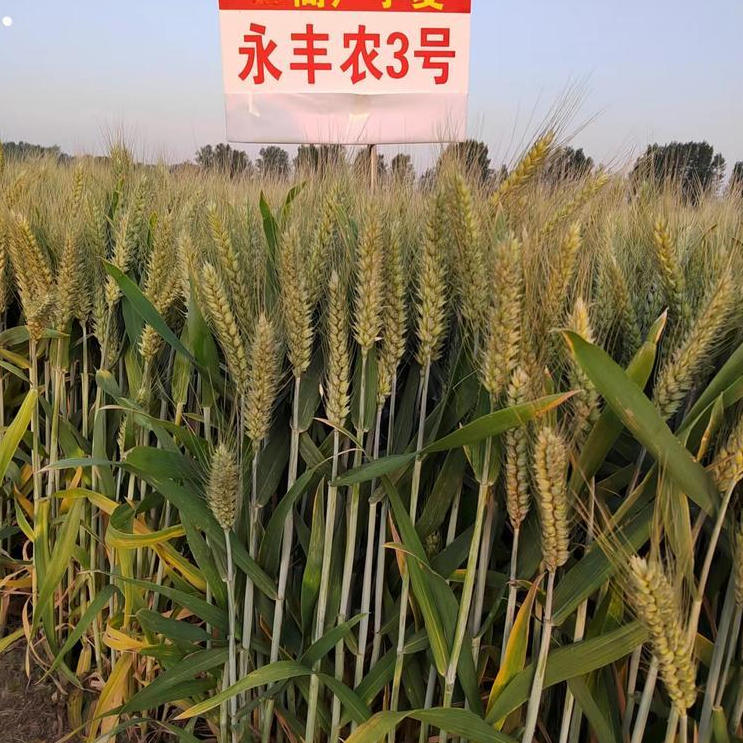 wechat_2025-09-22_102648_999