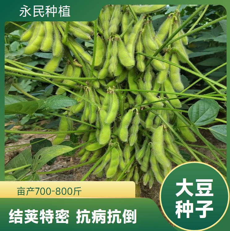 wechat_2025-09-22_103040_000