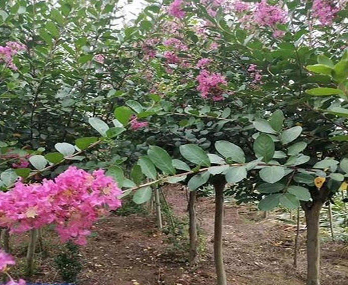 wechat_2025-09-22_113513_252